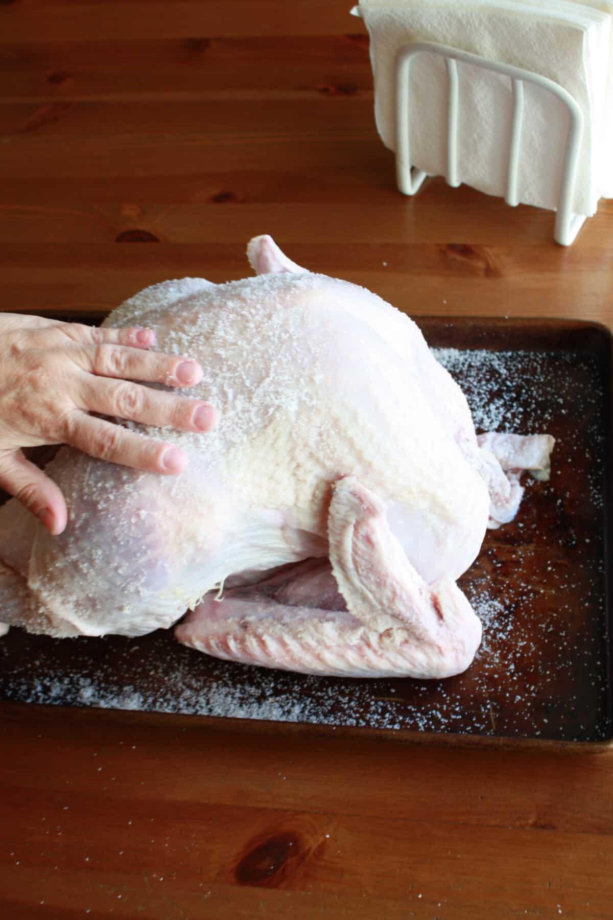 pat salt for dry brine on a turkey