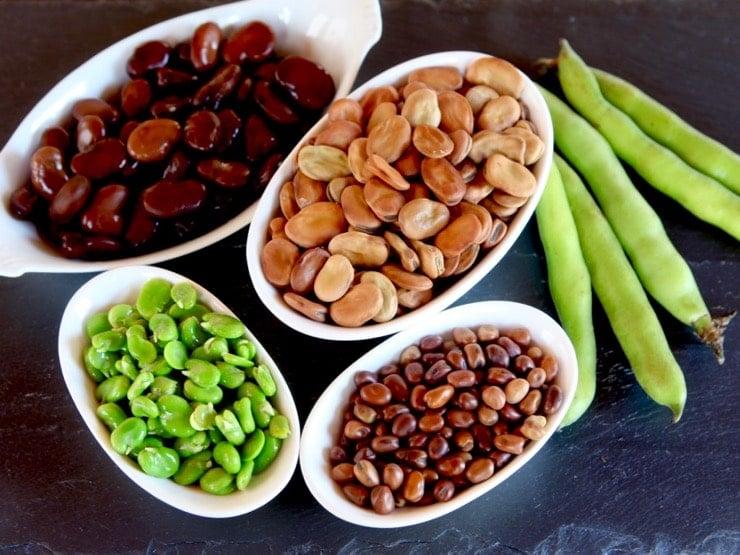 Four white dishes containing different kinds of fava beans - canned fava beans, large dried fava beans, small dried fava beans, and fresh fava beans. Next to the dishes are 5 green fava bean pods.