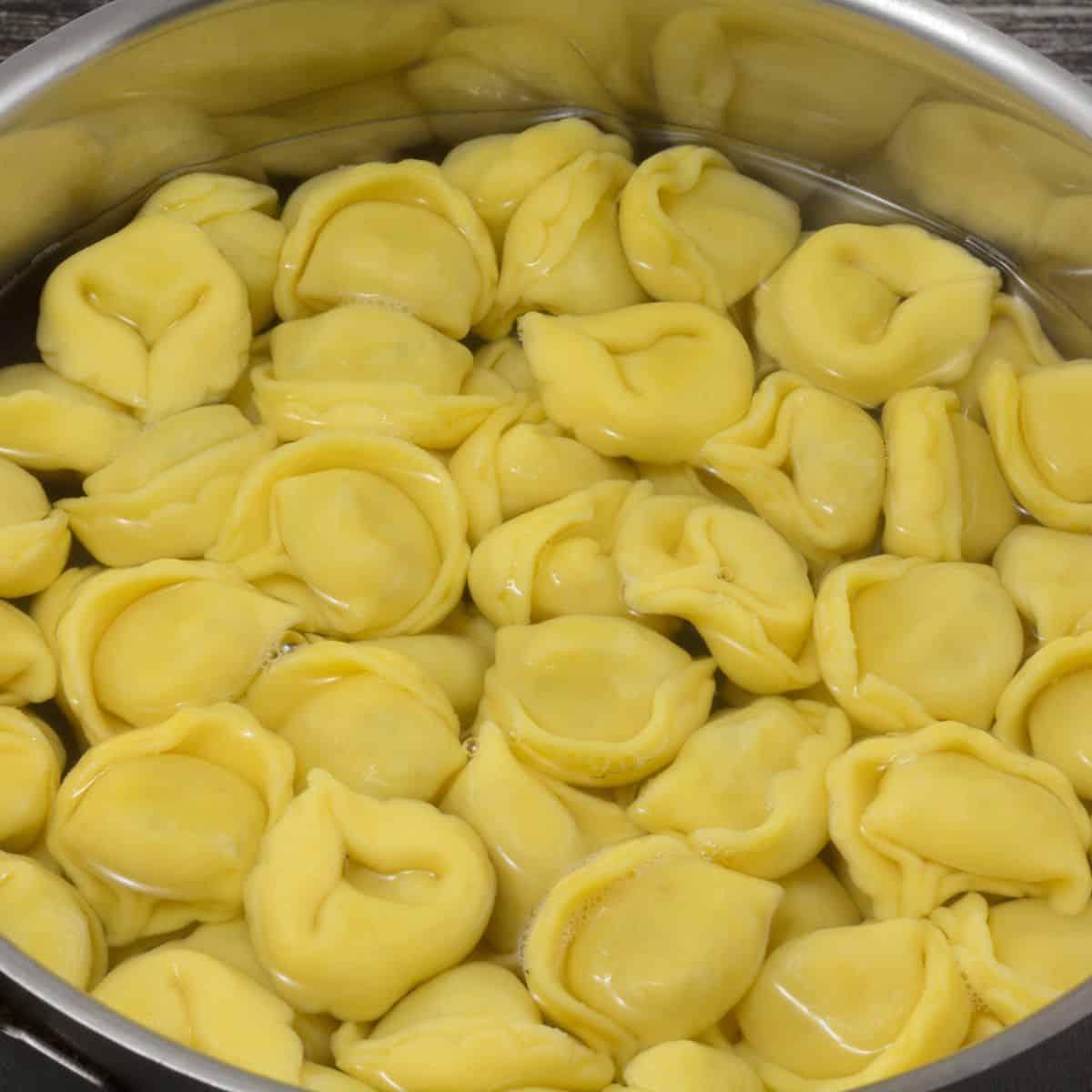 Tortellini pasta floats in a pot of water.
