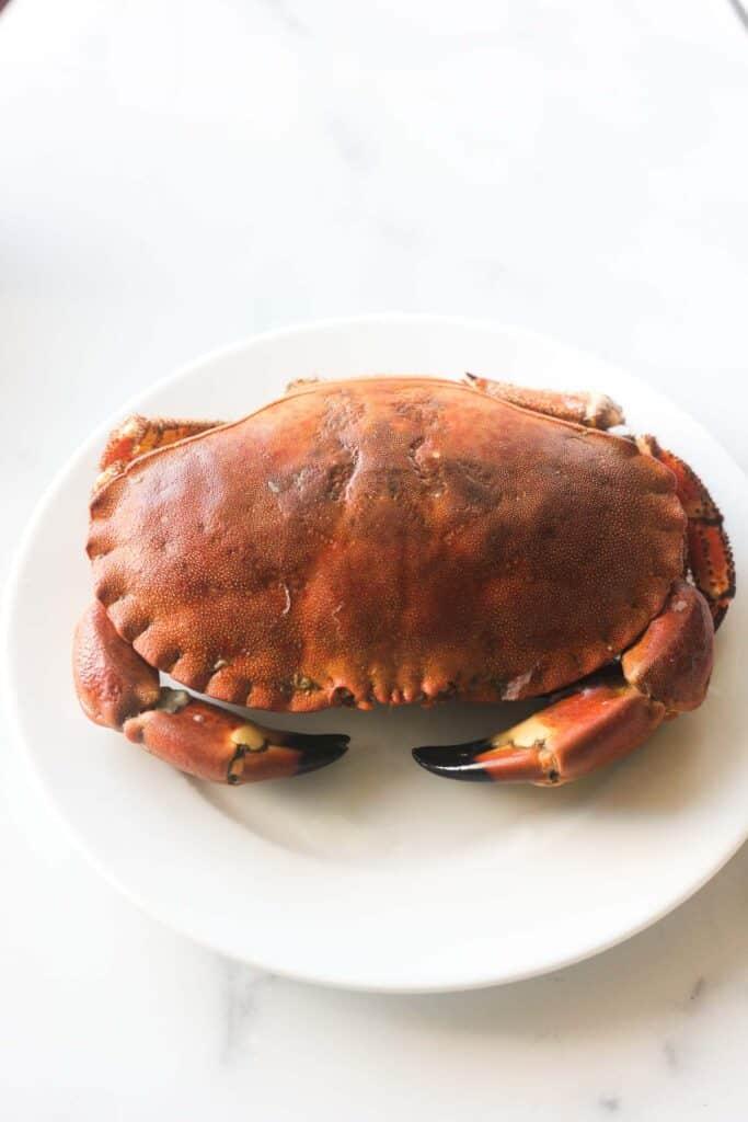 Raw crab on a plate