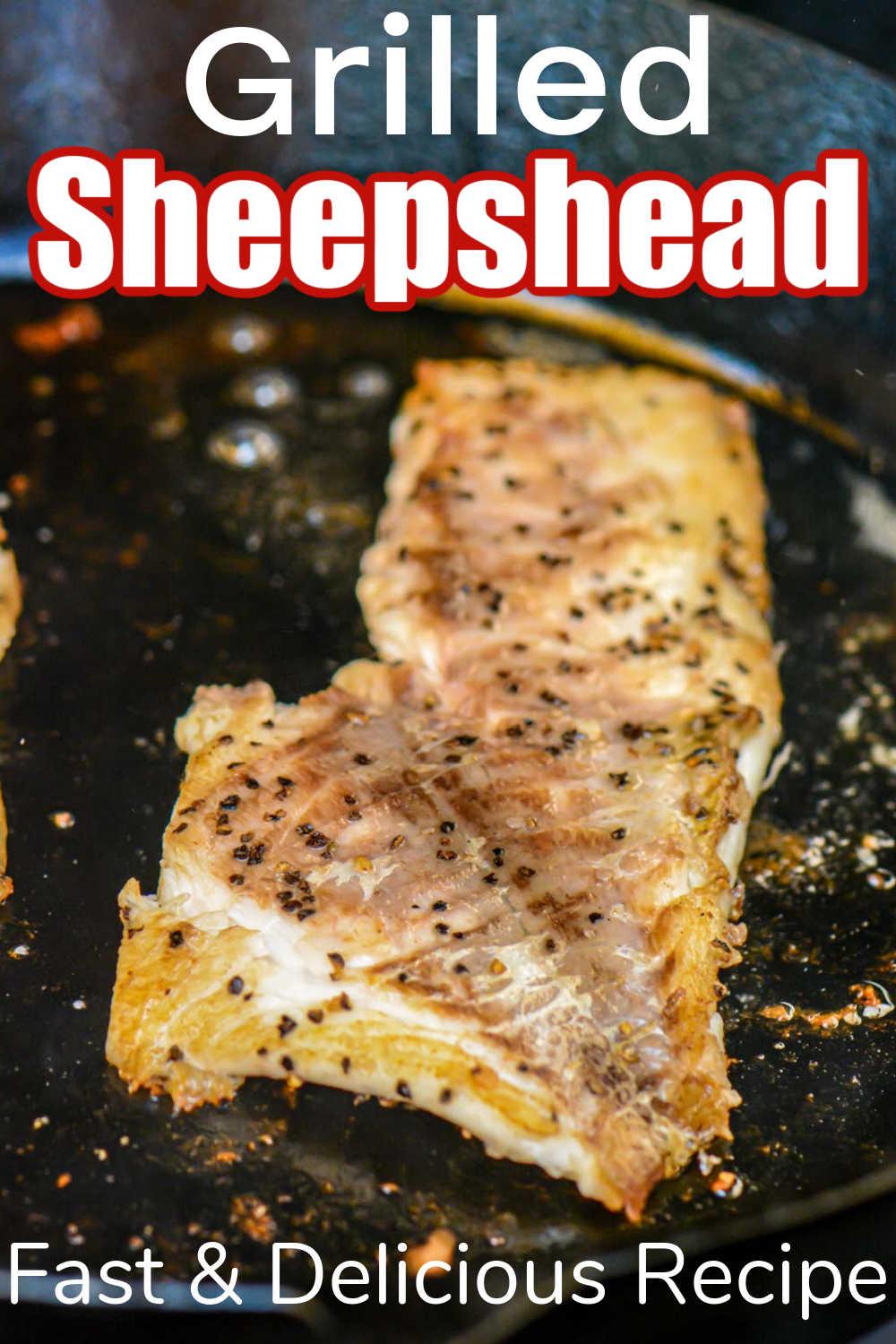 Grilled Sheepshead