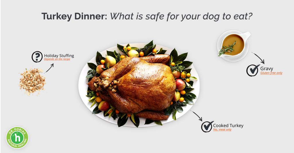 How to make a safe turkey dinner for your dog