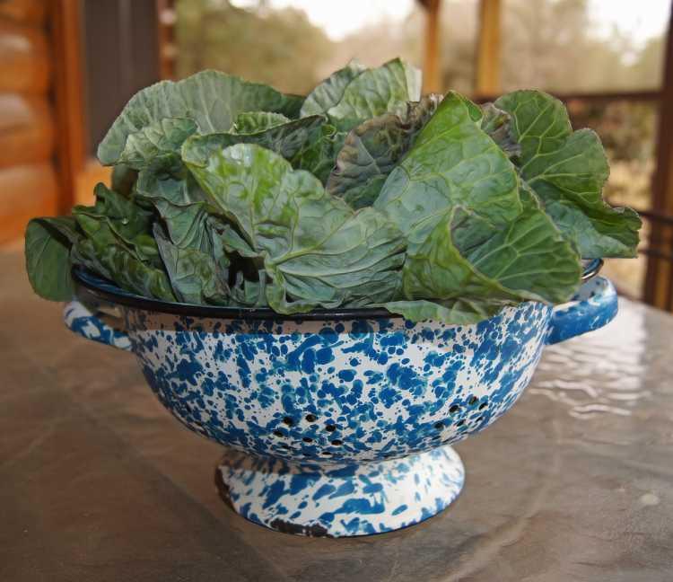 Can You Freeze Cooked Collard Greens?