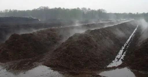 Figure 1: View over piles of compost