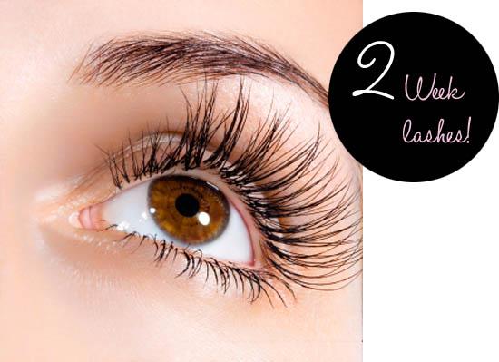 2 week lashes review