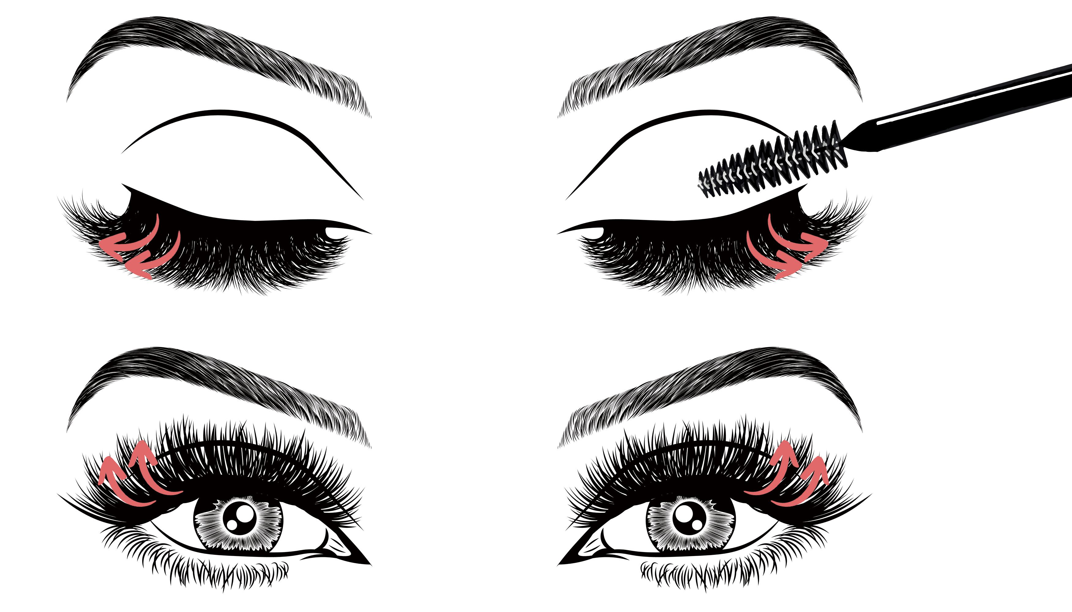 How to Brush Your Lashes