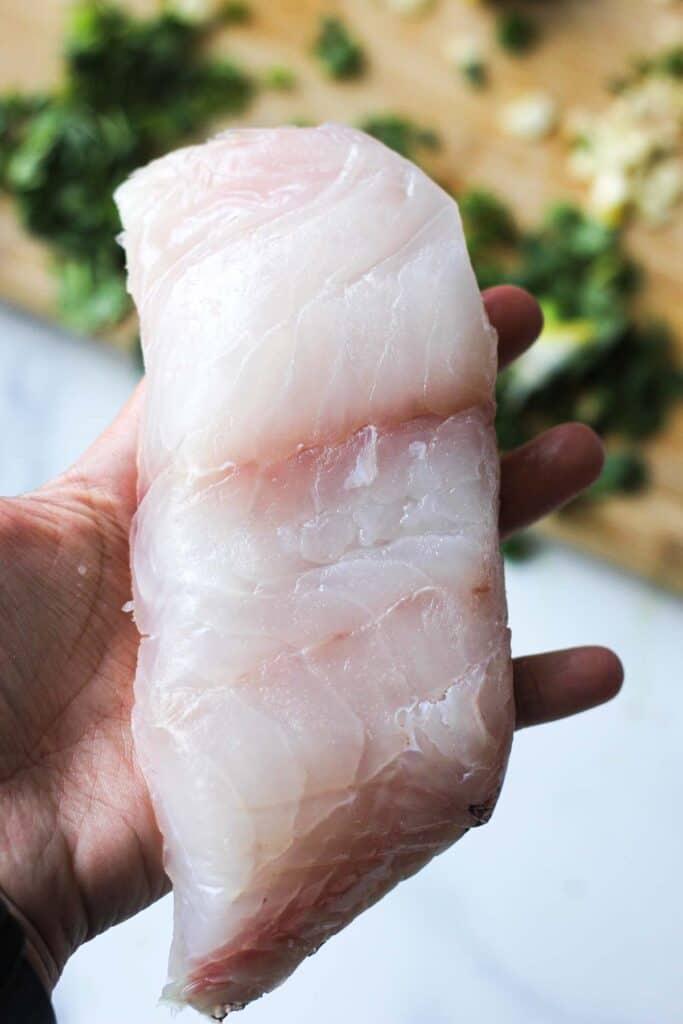 Raw Grouper Fillet in Hand