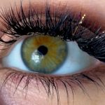 How Long Do Eyelash Extensions Last