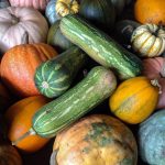 Gourd almighty: a guide to winter squash