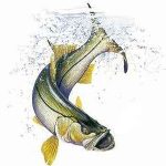 SNOOK RECIPES