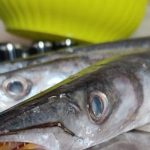 How To Cook Barracuda?