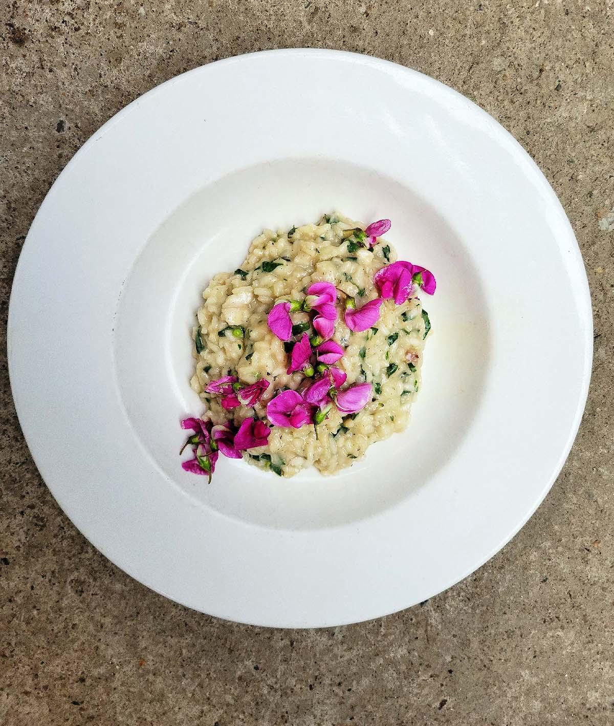 A bowl of burbot risotto