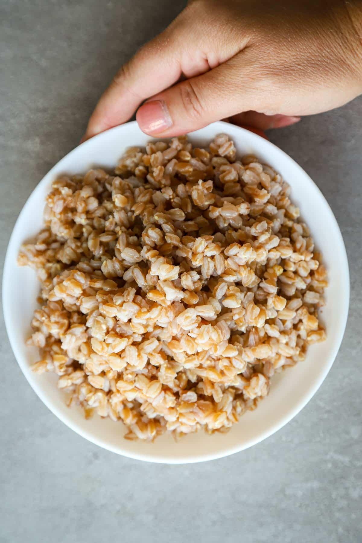 Cooked farro in a white bowl a woman is holding.