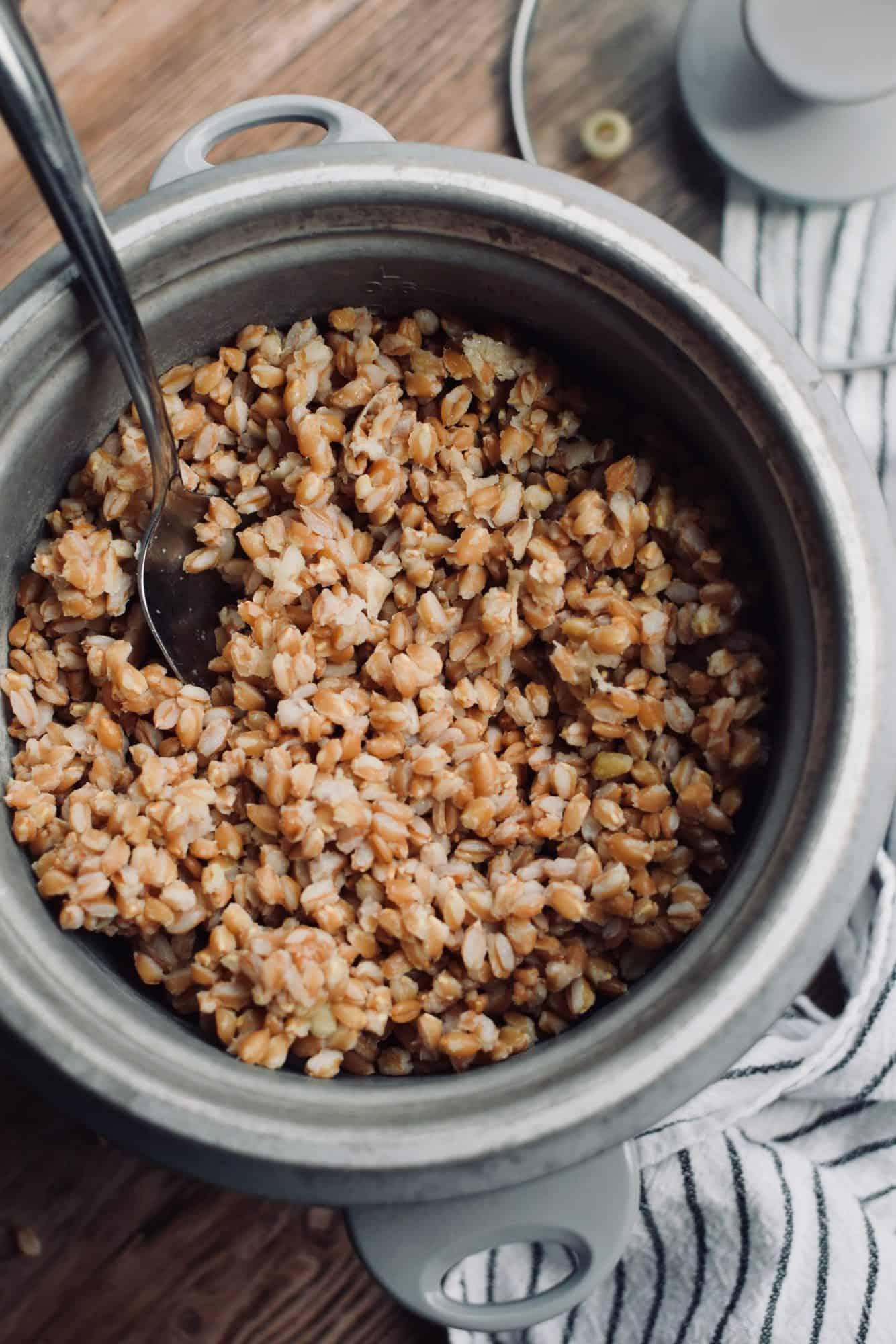 A rice cooker full of farro. A spoon is dishing some out