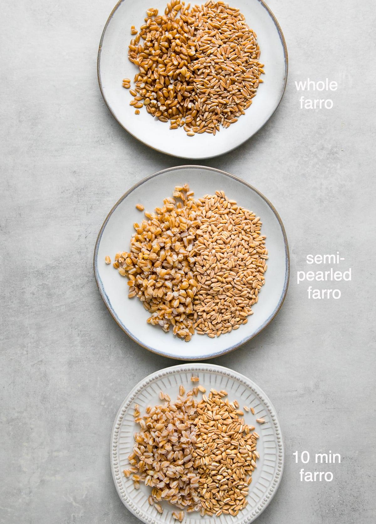 top down view of different types of farro cooked in the Instant Pot.