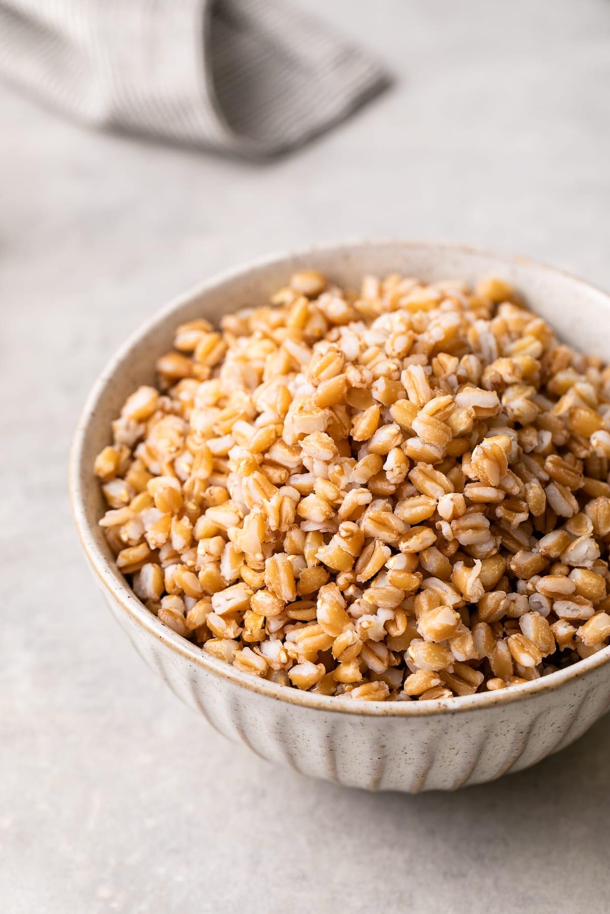 side angle view of a bowl filled with cooked farro.