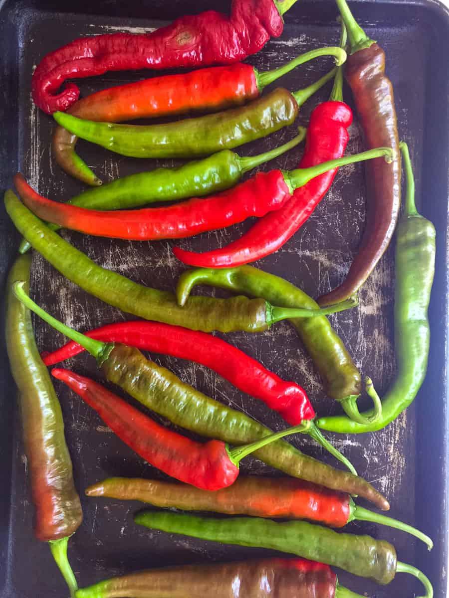 Raw Italian long hot peppers on baking tray