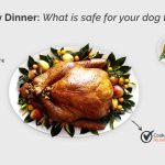 How to make a safe turkey dinner for your dog