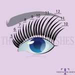 Quick Tips For Squirrel Lash Mapping