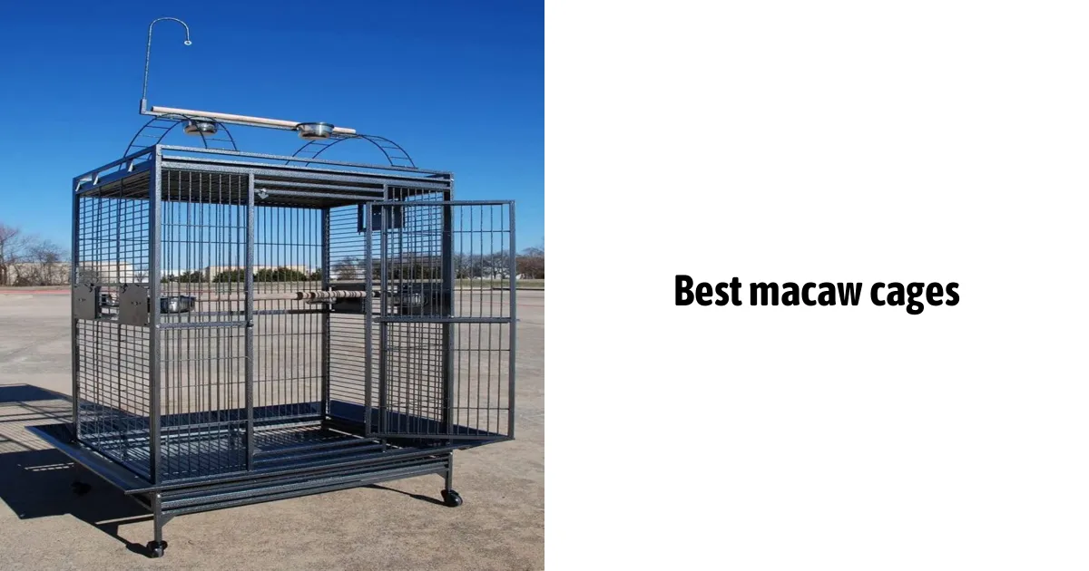 Best Macaw Cages