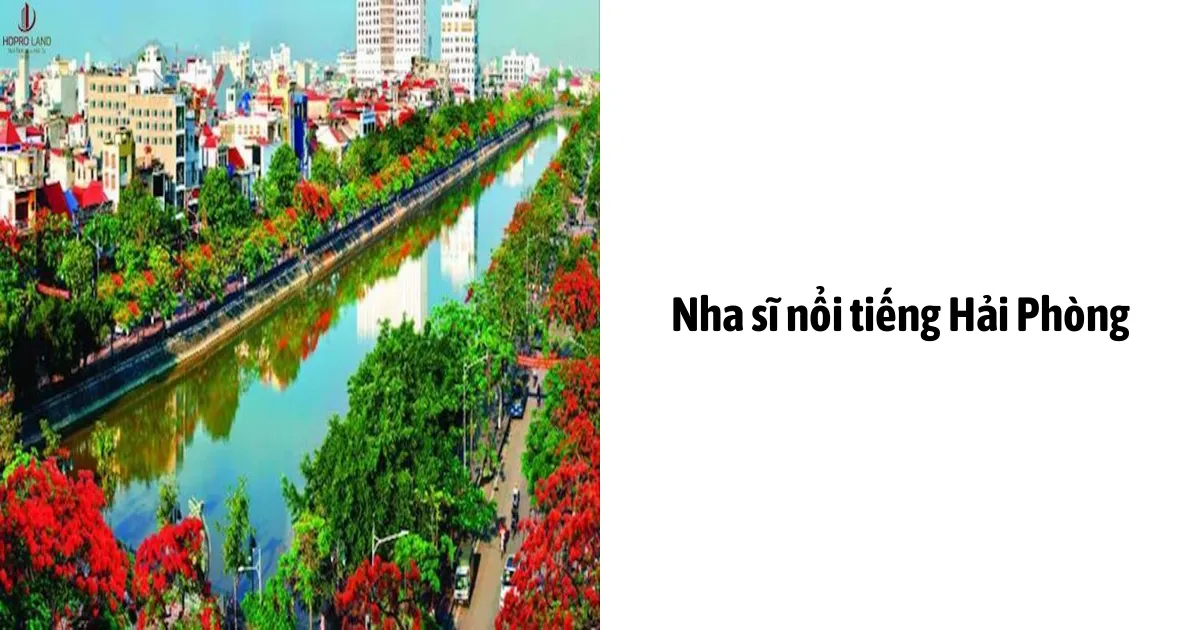 Nha Sĩ Nổi Tiếng Hải Phòng