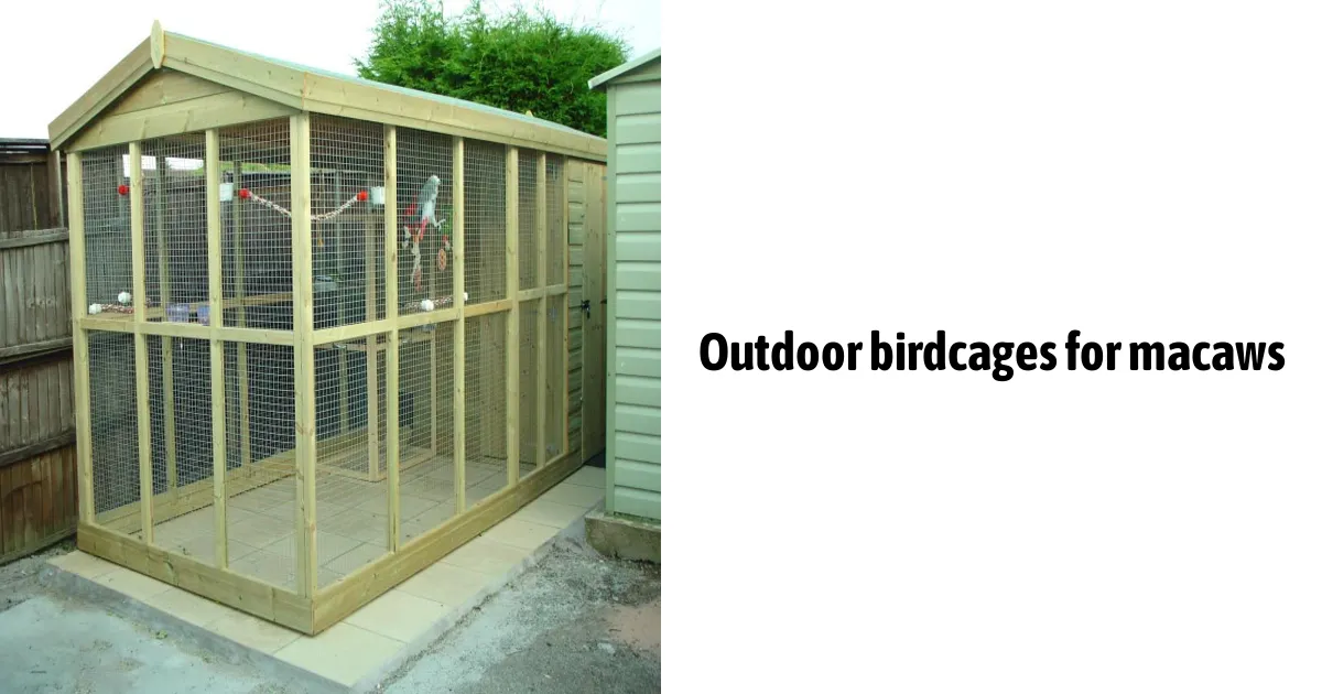 Outdoor Birdcages For Macaws