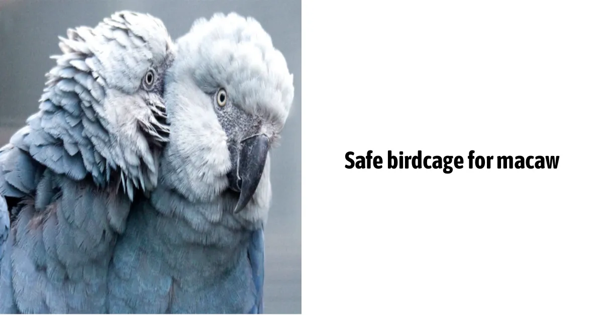 Safe Birdcage For Macaw