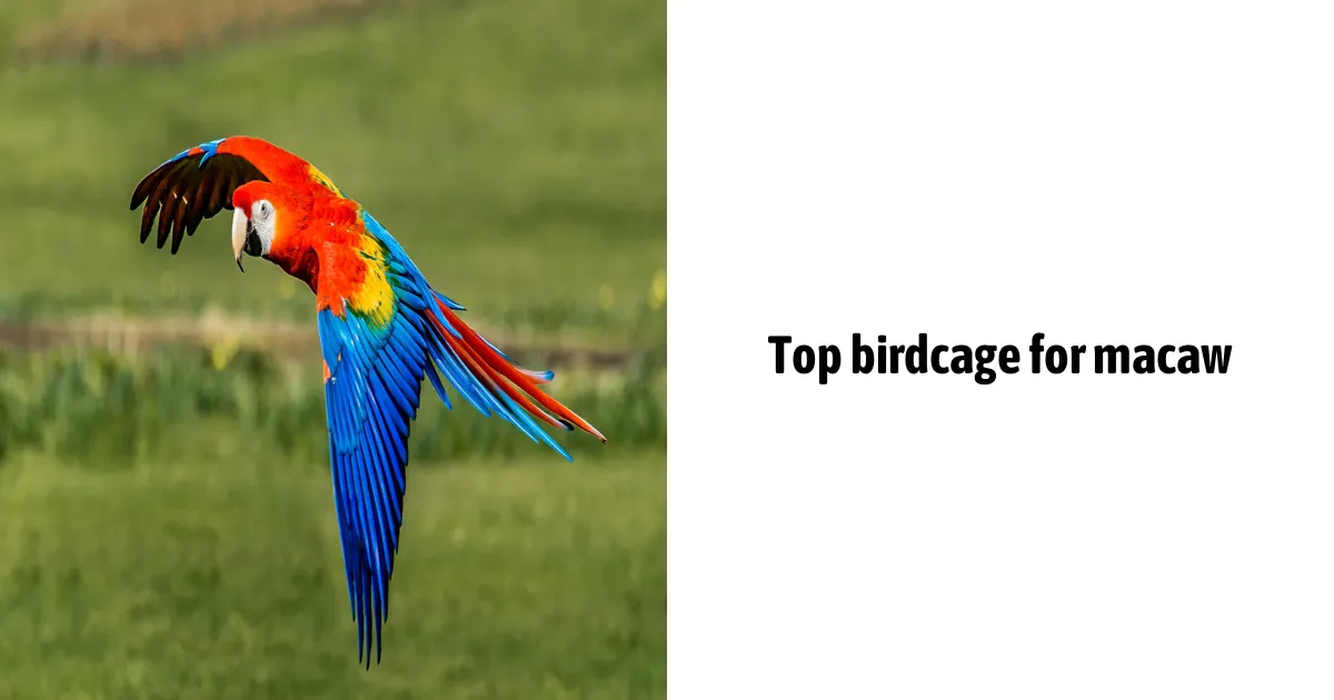 Top Birdcage For Macaw